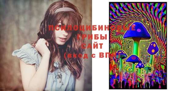 прущая мука Арсеньев