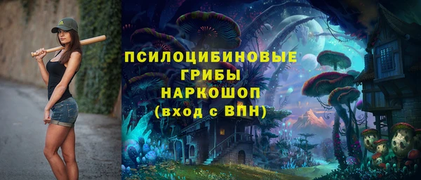 прущая мука Арсеньев