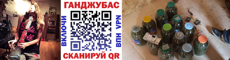 наркотики  Шатура  Канабис сатива 